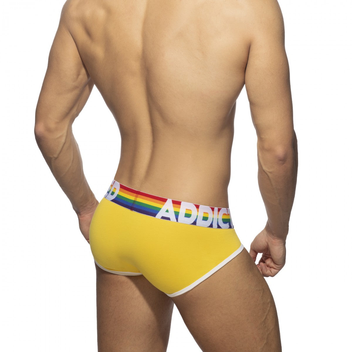 ADDICTED 6 Pack Rainbow Brief