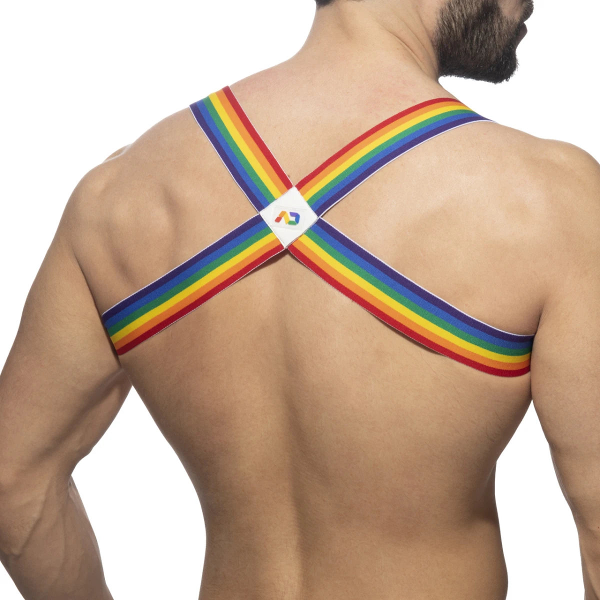 Addicted Rainbow Spider Harness